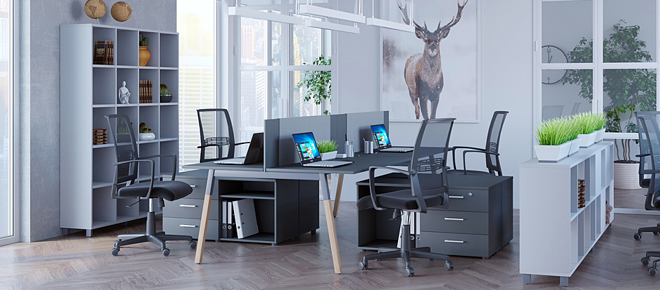 фото наскрізних офісних стелажів в сучасному дизайні офісу